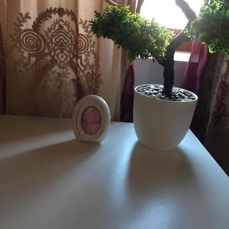 2 Bed Furnished With Garden And Parking شقة *